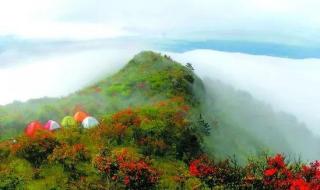 到西岭雪山导航终点是哪里 西岭雪山风景区