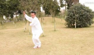 李德印48式太极拳一共几段 48式太极拳分解教学