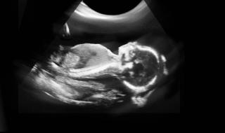 在家可以做什么赚钱